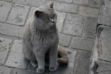 130989