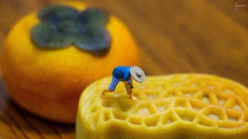 309070