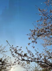 60153271-07E3-4E60-8012-9E6C93C3E348/L0/001