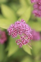 9D14D56F-2251-4352-BC12-287D916170A3/L0/001
