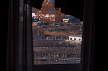 233050