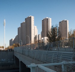209775