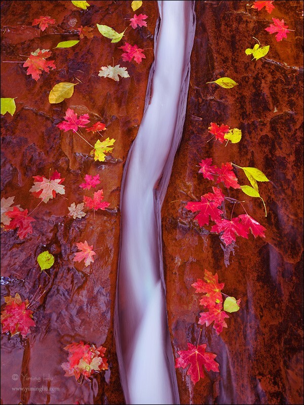 在美国锡安国家公园偏远山谷里，湍急的奔流，在深红的石头上切割出一条深深的凹槽。<br />
<br />
Pentax 645Z + PENTAX-DA645 28-45mm f/4.5 + CPL