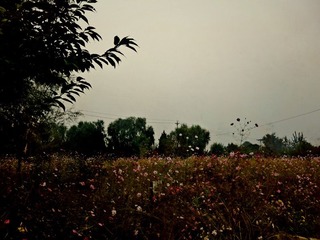 20110912森林公园.jpg