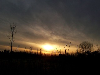 2009-02-07森林公园2