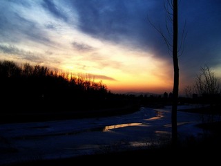 2009-02-07森林公园