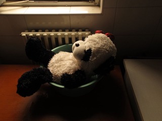 澡盆里的小熊猫