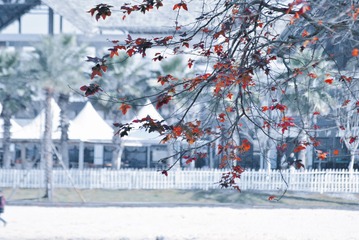 AD355C7C-687F-455F-874C-9AACB7E52531/L0/001