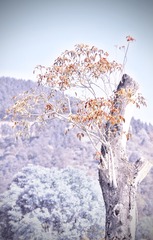 7878475C-2F13-4902-BD37-8C132D2FCA44/L0/001