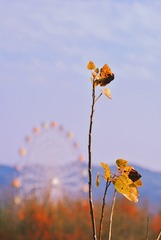 F6C10030-7F6E-48DF-BF5C-13C7980F417A/L0/001