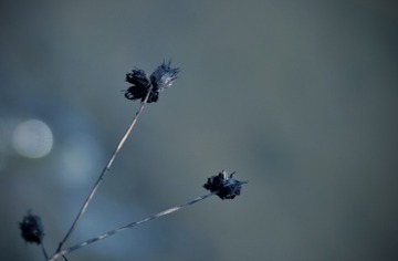 0901E68E-6A92-4B4D-9D98-6EC47DC51124/L0/001