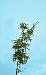 05FF9B87-BF28-4AA9-BE88-0DAB7C17EA8E/L0/001