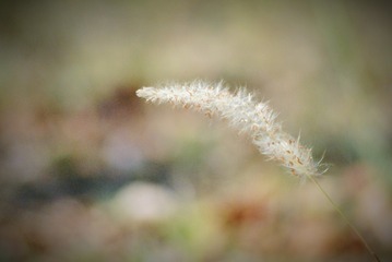 EFB30956-6B76-4BE3-B4DF-7A6001348815/L0/001