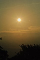 406E5E5D-8F58-4243-8288-82DA4BEC470A/L0/001