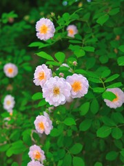 9793F08C-11DD-47CB-9339-6B5C56D7E420/L0/001