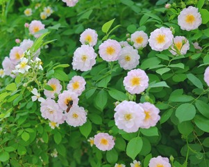 75C0D92C-8CE1-4D14-A38D-688F8556392F/L0/001