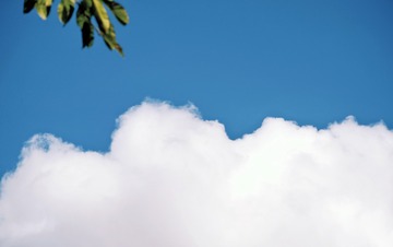 D80808EE-3A74-4C16-A885-FA7A9E340469/L0/001