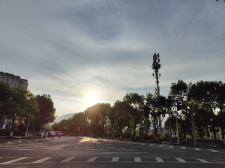 1000063696
