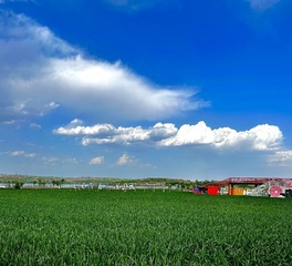 B138409F-C170-490A-B4E5-CF5020EF099F/L0/001