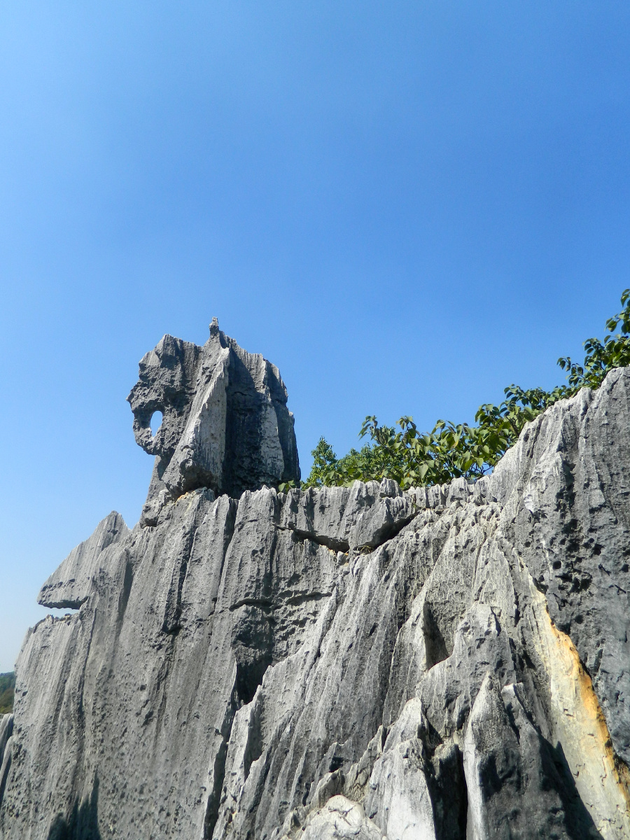 在石林风景区的大石林片区,有一处景点为:"象踞石台".