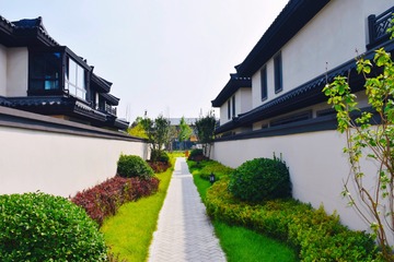 56D13CF0-C5B3-4936-85F8-9424524C3928/L0/001