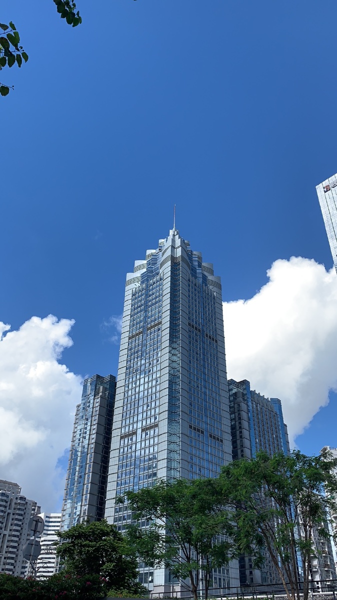 不得不发拍的罗湖世金汉宫