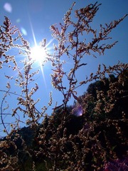 照片 106.jpg