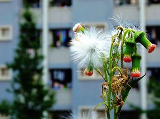 照片 031.jpg