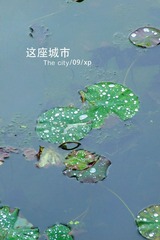 C1.jpg
