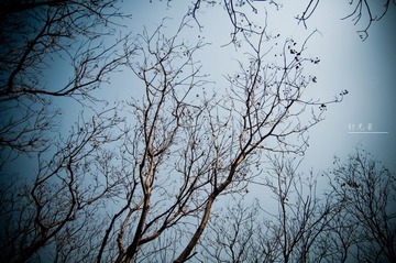 DSC_0044副本.jpg