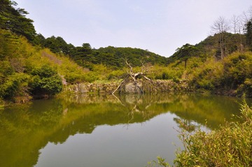 DSC_0553.jpg