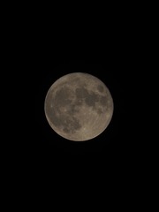 3AB0D786-DFBC-4E45-9C89-7EAE27C6DBA3/L0/001