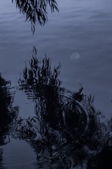 128291