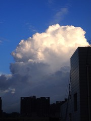 E3A2095A-51A6-4C20-8C88-BF8D6155D2BE/L0/001