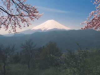 1654764