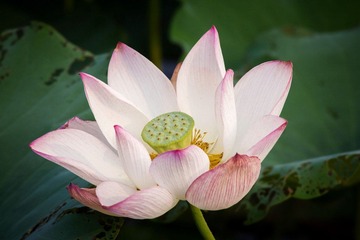LR-4718副本.jpg