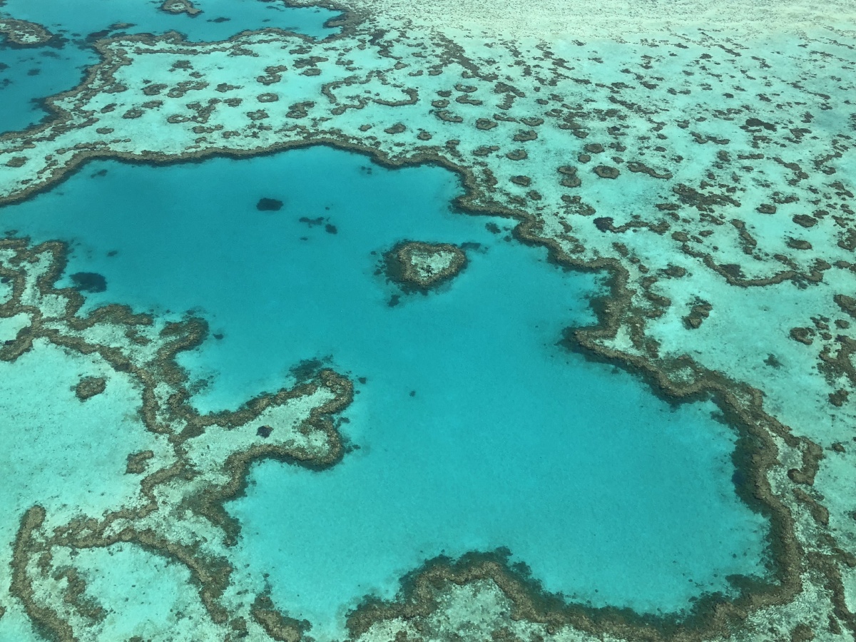 摄于澳大利亚大保礁
