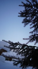 1D4D10F9-95D5-4261-92F0-D297188F70C9/L0/001