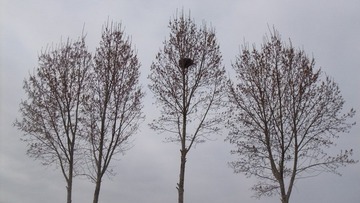 DSCF2233.JPG