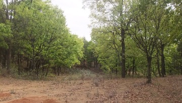 DSCF2179.JPG
