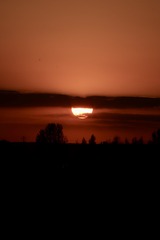 10B63791-B4AD-4575-8A5B-7A1291308272/L0/001