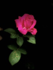 97F453B0-F75D-49AC-91F8-811748BB0AEE/L0/001