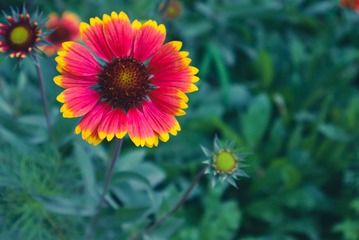EFBDAE72-C50C-460B-A984-1465929D3082/L0/001