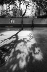 DSC_2212.jpg