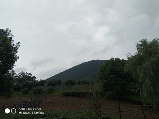 1450754