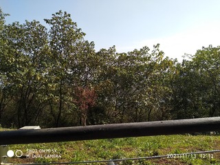 2545776