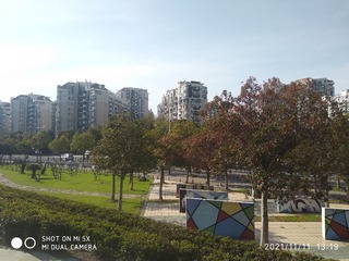 2535099