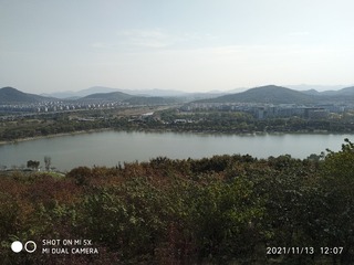 2545771