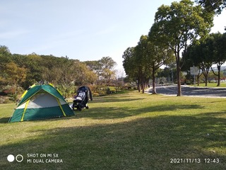 2545786
