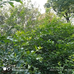 2545705